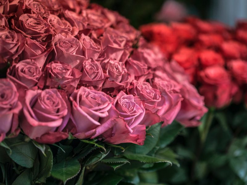 Kwiaty na rocznicę ślubu – jakie wybrać?