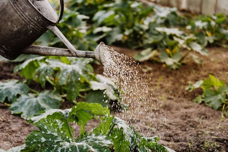 Zestaw uprawowy: Optymalne narzędzia dla pasjonatów ogrodnictwa