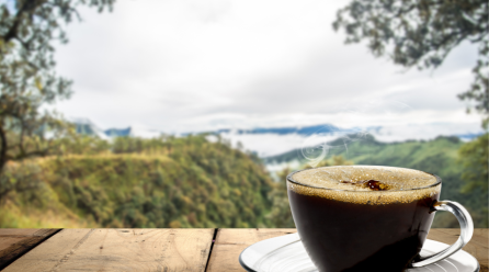 Kiedy picie kawy stało się modą? – Historyczne spojrzenie na kawę jako globalny fenomen