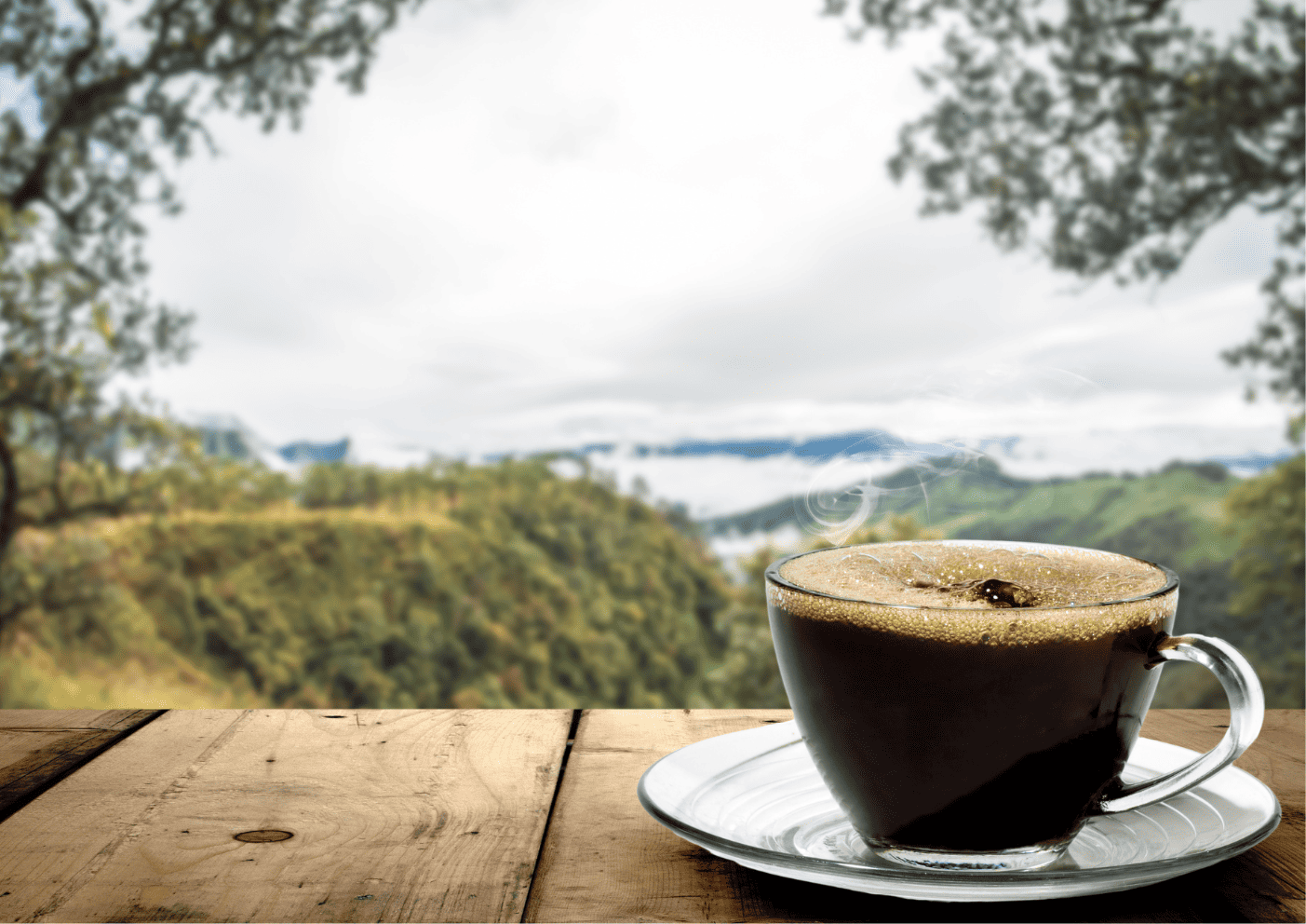 Kiedy picie kawy stało się modą? – Historyczne spojrzenie na kawę jako globalny fenomen